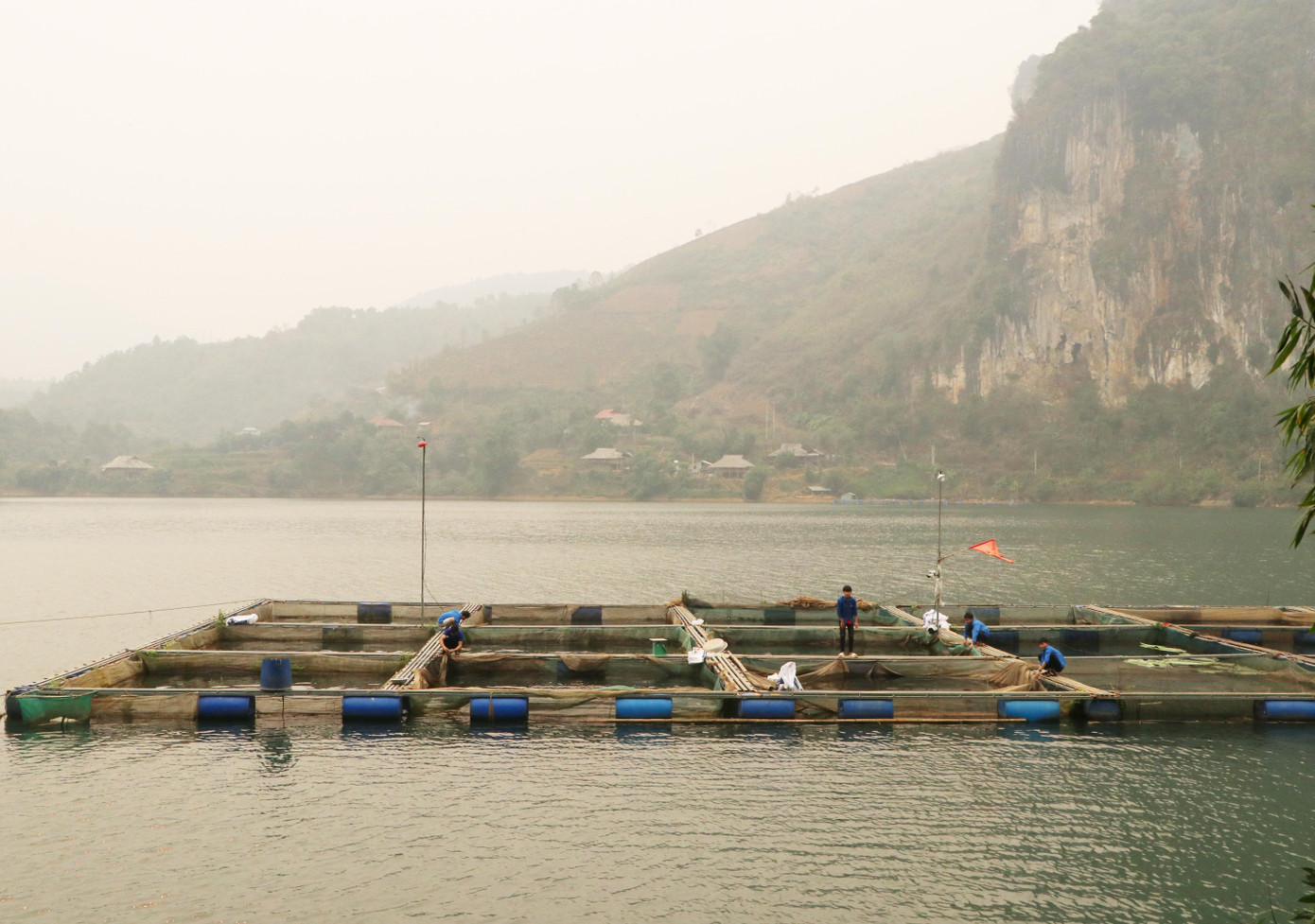 Từ 10 lồng cá khởi nghiệp, đến nay anh Lường Văn Chùm phát triển lên 20 lồng cho thu nhập ổn định. Từ 10 lồng cá khởi nghiệp, đến nay anh Lường Văn Chùm phát triển lên 20 lồng cho thu nhập ổn định.