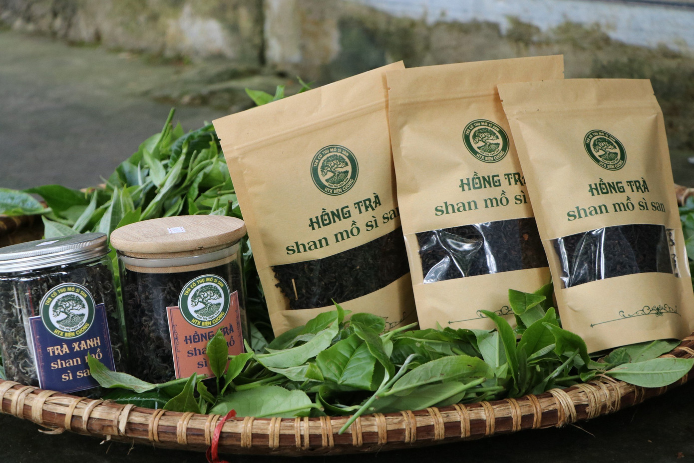 Trung bình mỗi năm, Hợp tác xã Biên Cương thu mua từ 4-5 tấn búp chè cổ thụ tươi từ bà con trên địa bàn xã và các xã lân cận, chế biến được hơn một tấn trà khô các loại. Hiện nay, Hợp tác xã Biên Cương sản xuất được 4 sản phẩm là bạch trà, hồng trà, hoàng trà và trà xanh. Trong đó có 3 sản phẩm trà cổ thụ gồm: Hồng trà shan Mồ Sì San, Hoàng trà shan Mồ Sì San và Trà xanh shan Mồ Sì San được công nhận đạt chuẩn sản phẩm OCOP 3 sao của tỉnh Lai Châu năm 2020.