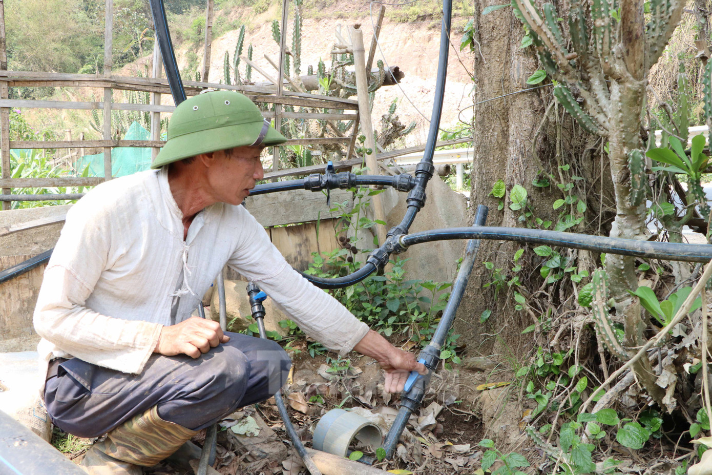 Mặc dù dây dẫn nước đi qua nhà ông Hoàng Văn Bách nhưng gia đình vẫn rơi vào cảnh thiếu nước.