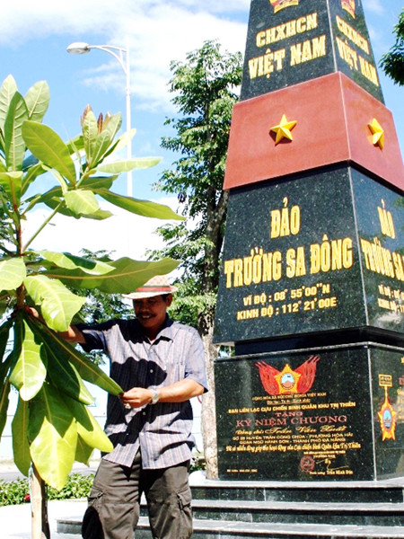 Chăm sóc cây bàng vuông bên khuôn viên chủ quyền. Chăm sóc cây bàng vuông bên khuôn viên chủ quyền