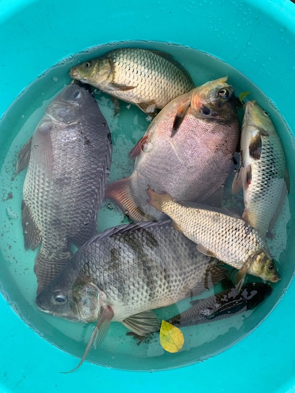 Hà Hồ, Bảo Thanh và loạt sao Việt đi đâu dịp nghỉ Lễ 2/9? ảnh 8