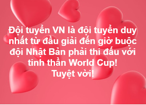 Cộng đồng mạng: Tuyển Việt Nam đang đá World Cup à? ảnh 2
