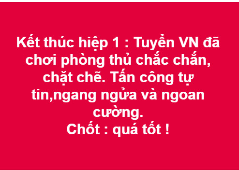 Cộng đồng mạng: Tuyển Việt Nam đang đá World Cup à? ảnh 1