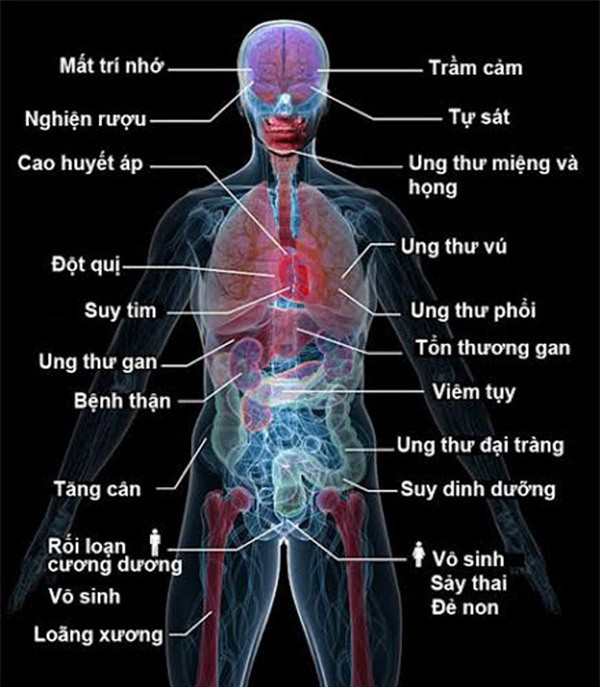 Uống rượu bia thường xuyên: 5 cơ quan nội tạng “bốc hơi” đáng giật mình ảnh 6