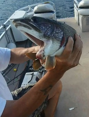 Nữ cần thủ Mỹ câu được cá 2 miệng vô cùng quái dị ảnh 3