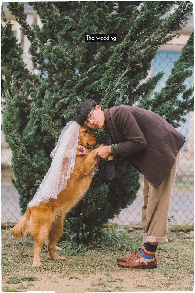 Chưa có người yêu, chàng trai đành chụp ảnh với chó cưng ảnh 4