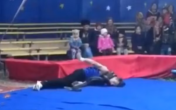 Diễn viên xiếc bị trăn siết cổ, nghi chết tại chỗ ảnh 1