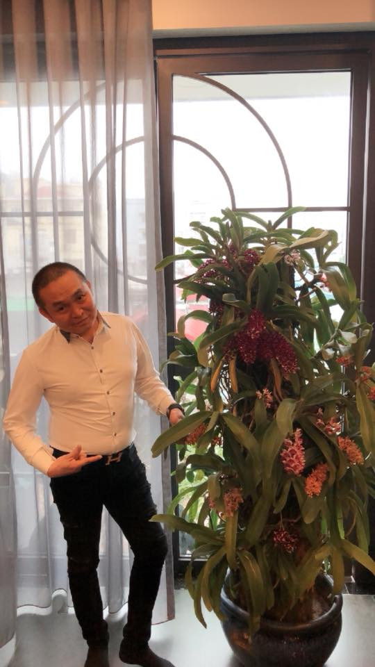 Cận cảnh căn nhà giá 'khủng' của Xuân Hinh ở phố cổ Hàng Bông ảnh 14