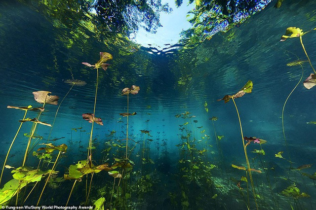 Truyền thông quốc tế ấn tượng với những tác phẩm nhiếp ảnh của Việt Nam ảnh 12