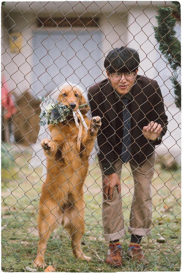 Chưa có người yêu, chàng trai đành chụp ảnh với chó cưng ảnh 3