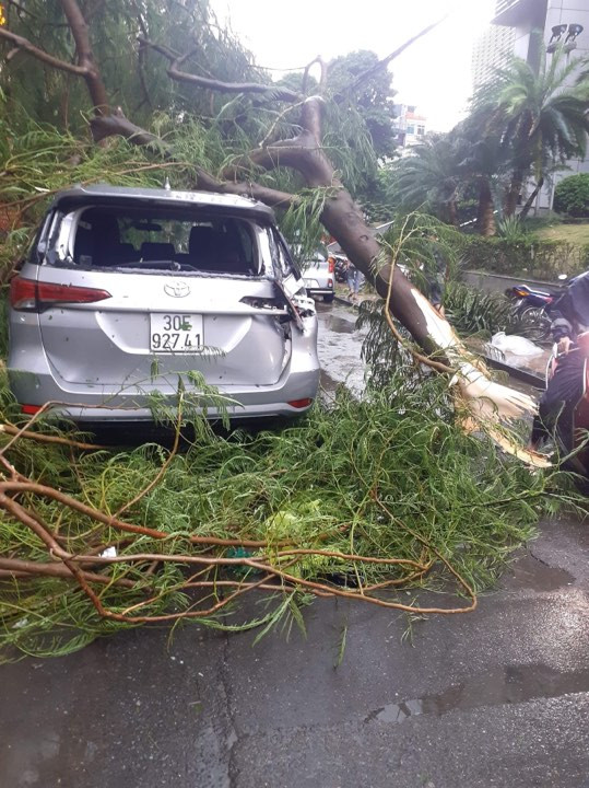 Hà Nội mưa như trút nước, gió quật đổ hàng loạt cây xanh ảnh 1
