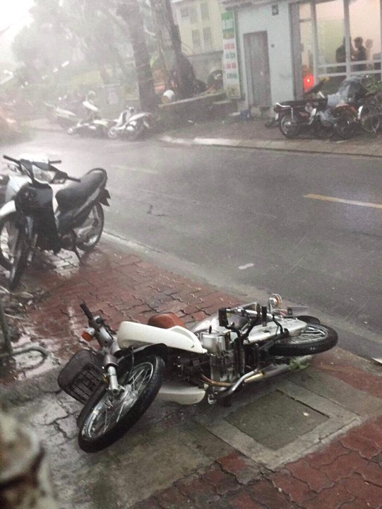 Hà Nội mưa như trút nước, gió quật đổ hàng loạt cây xanh ảnh 11