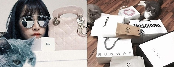 Khối tài sản 'khủng' của Chi Pu ảnh 11