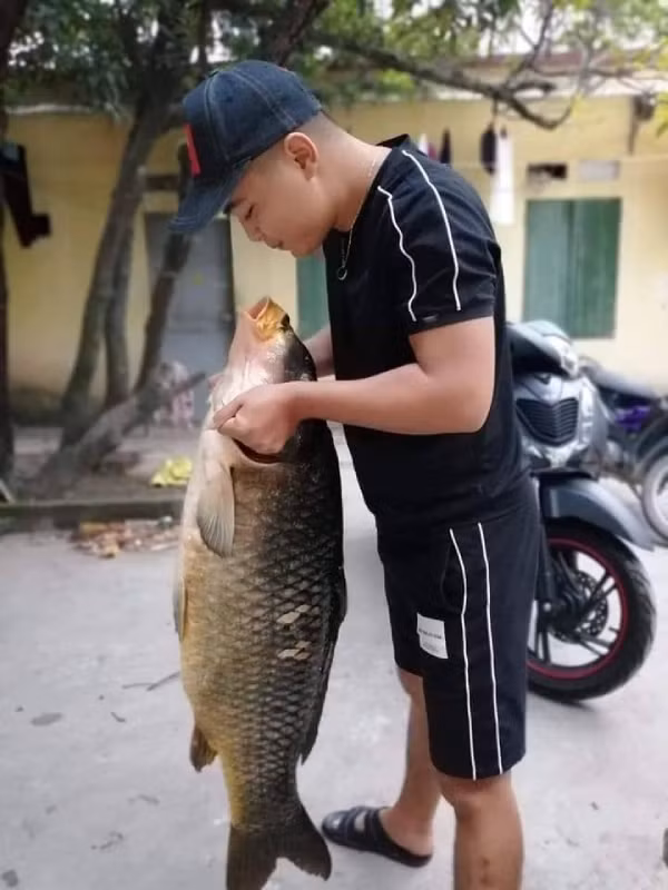 Bắt được con cá chép 20kg, sang tay ngay chục triệu đồng ảnh 4