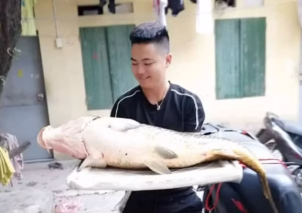 Bắt được con cá chép 20kg, sang tay ngay chục triệu đồng ảnh 2