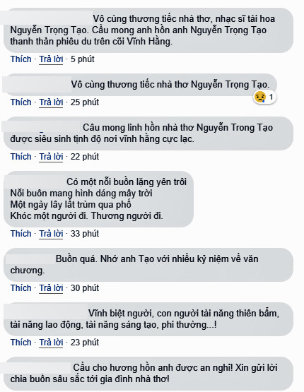 Người hâm mộ tiếc thương Nguyễn Trọng Tạo-nhạc sĩ 'Khúc hát sông quê' ảnh 3