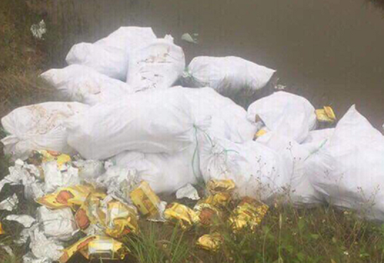 Ba vụ bắt giữ gần 2 tấn ma túy trong loa thùng có 'mối liên hệ' nào với nhau? ảnh 2