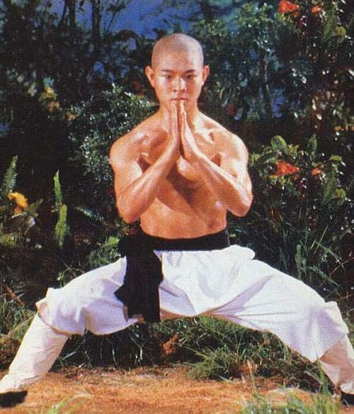 Lý Liên Kiệt gây 'sốc' khi tiết lộ cát-xê 'không tưởng' thời phim 'Thiếu Lâm Tự' ảnh 1