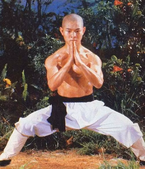Lý Liên Kiệt gây 'sốc' khi tiết lộ cát-xê 'không tưởng' thời phim 'Thiếu Lâm Tự' ảnh 1