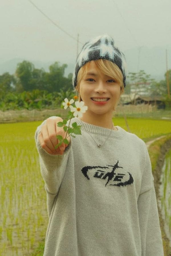 Bông hoa quen thuộc với người Việt Nam. Bông hoa quen thuộc với người Việt Nam.