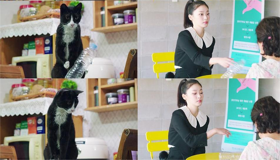 Đoạn video này nhanh chóng viral trên các nền tảng mạng xã hội.