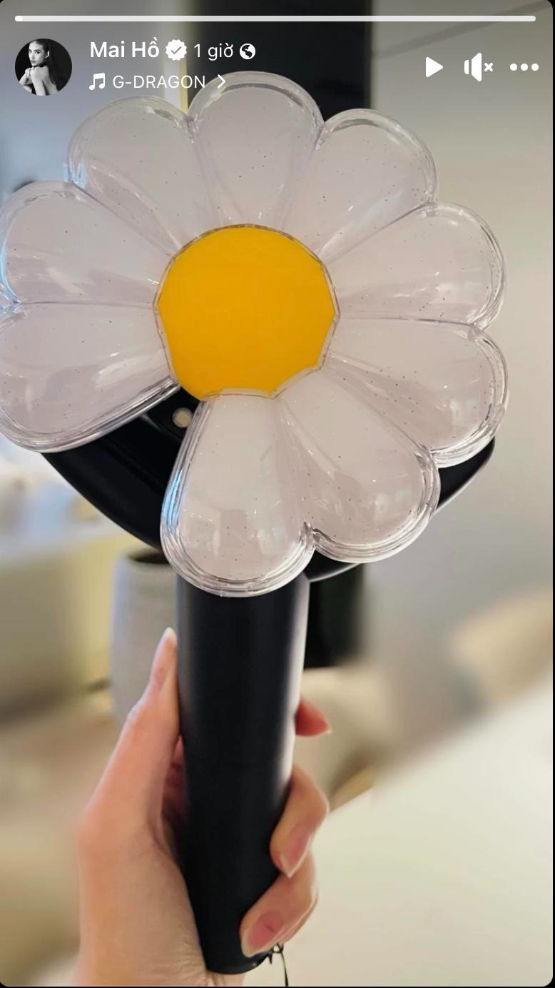 Mai Hồ đã sẵn sàng tới gặp G-Dragon rồi đây. Mai Hồ đã sẵn sàng tới gặp G-Dragon rồi đây.