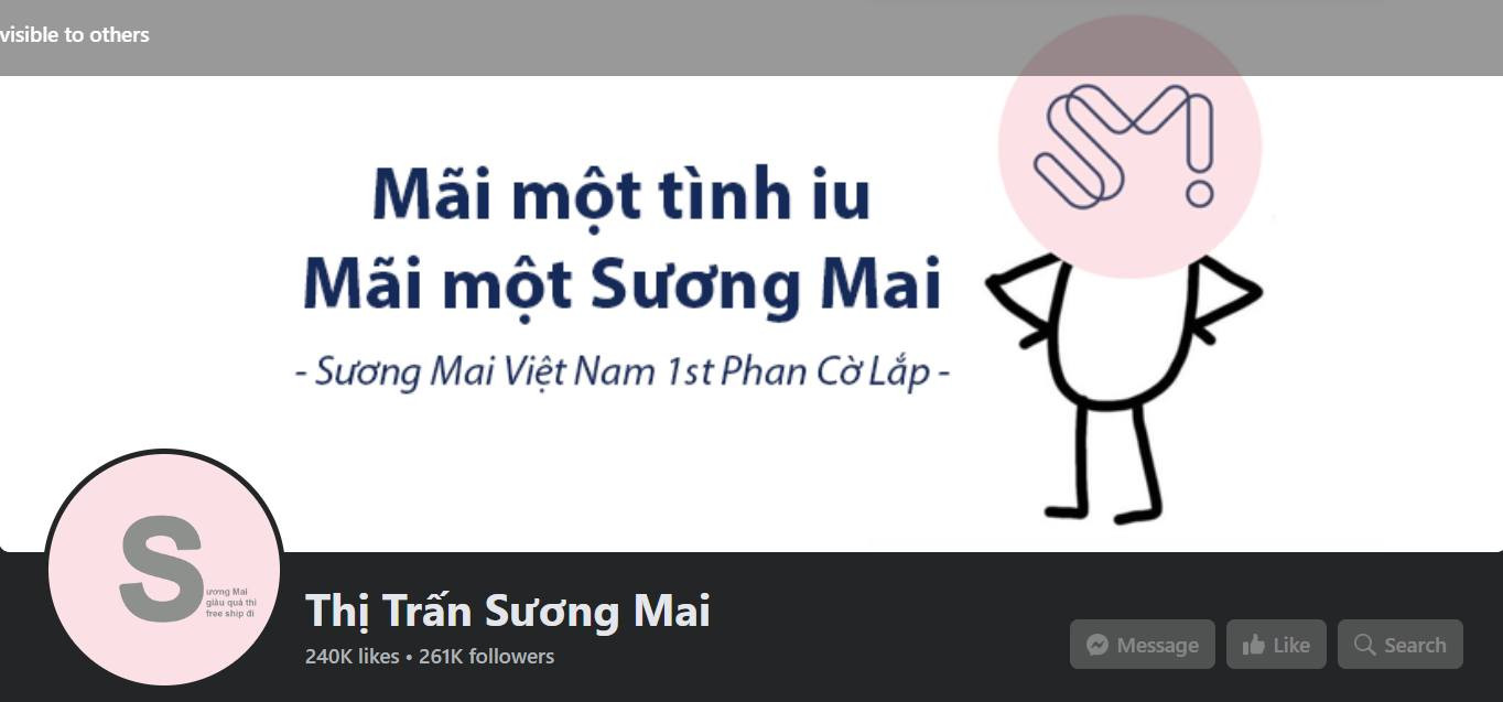 Fanpage nổi tiếng của cộng đồng fan idol nhà SM &quot;lách luật&quot; bằng cách Vietsub nguyên cái tên SMTown. Một cái tên độc lạ mà có thay đổi thì các Pink Blood vẫn có thể nhận ra.