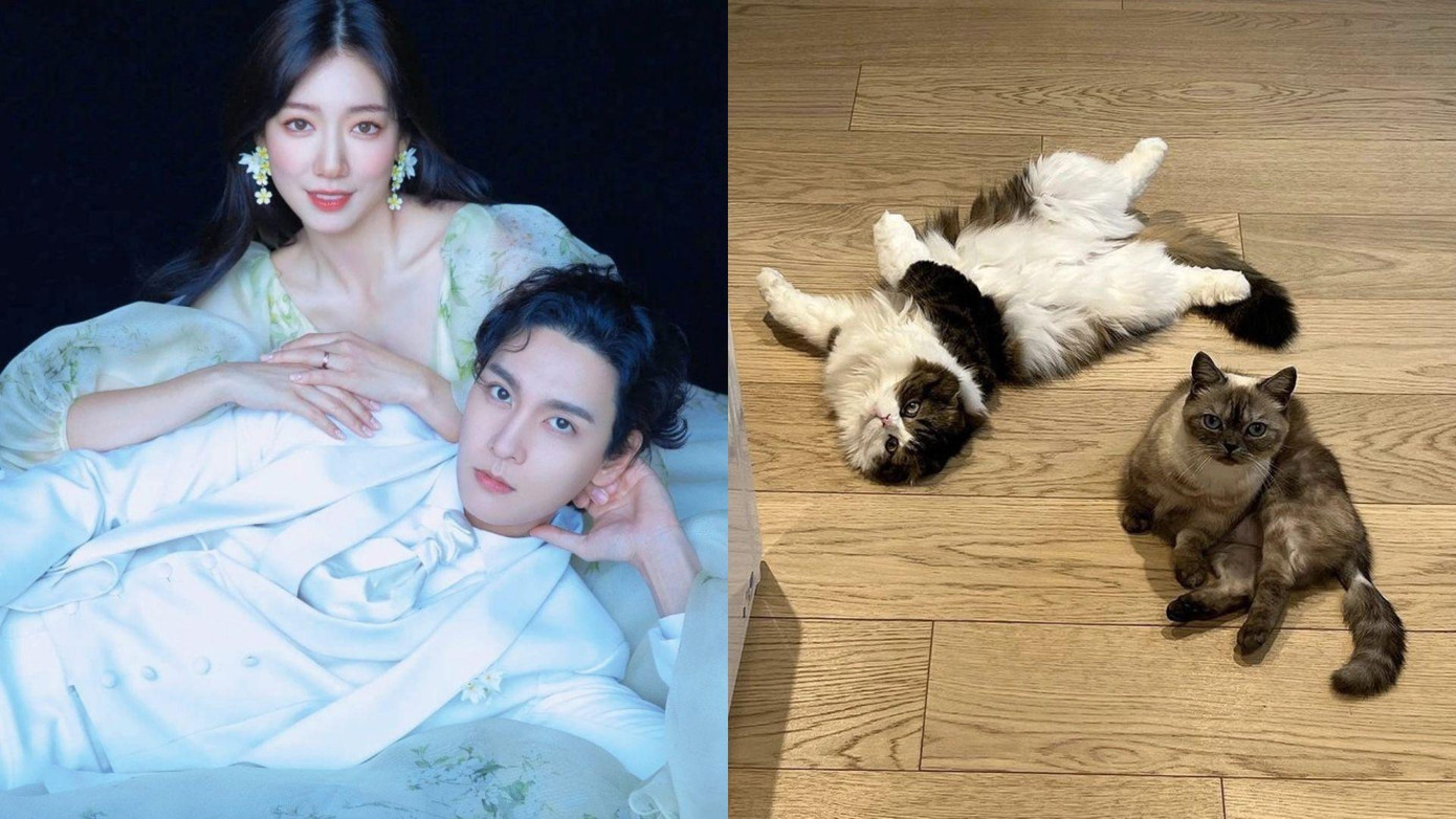 Trên Instagram cá nhân, Park Shin Hye vẫn giữ thói quen khoe ảnh 2 chú mèo cưng sau khi về chung một nhà với Tae Joon.
