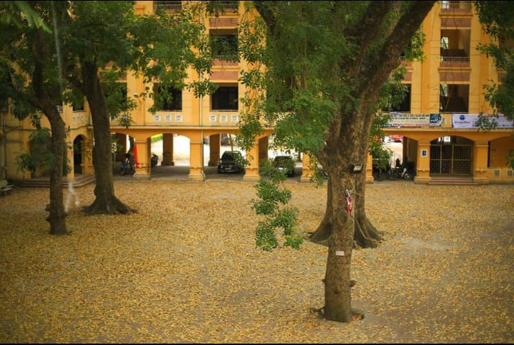 Ảnh: Page trường THPT Phan Đình Phùng.