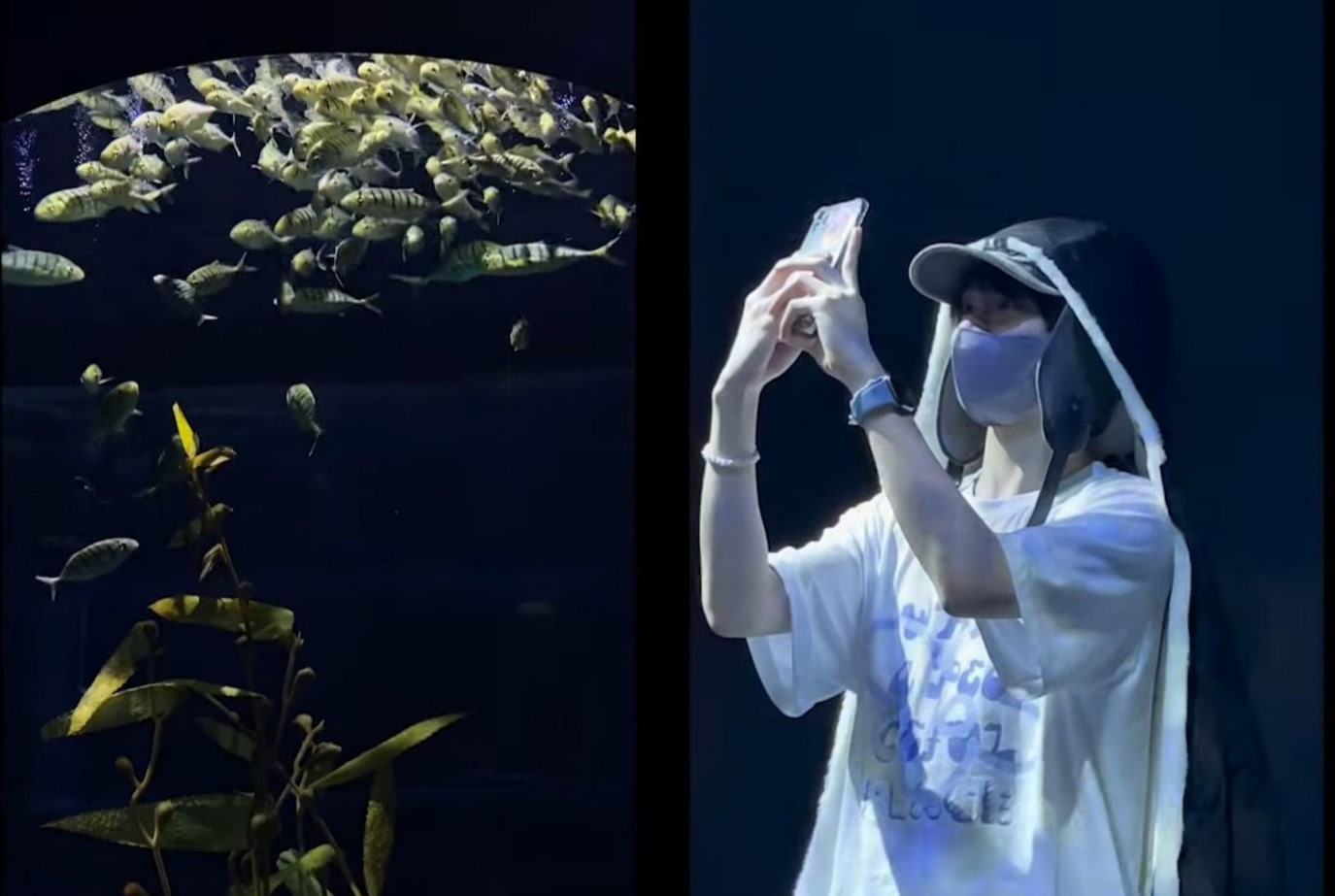 Hanbin Ngô Ngọc Hưng đi tham quan một thủy cung tại Hà Nội. Hanbin Ngô Ngọc Hưng đi tham quan một thủy cung tại Hà Nội.