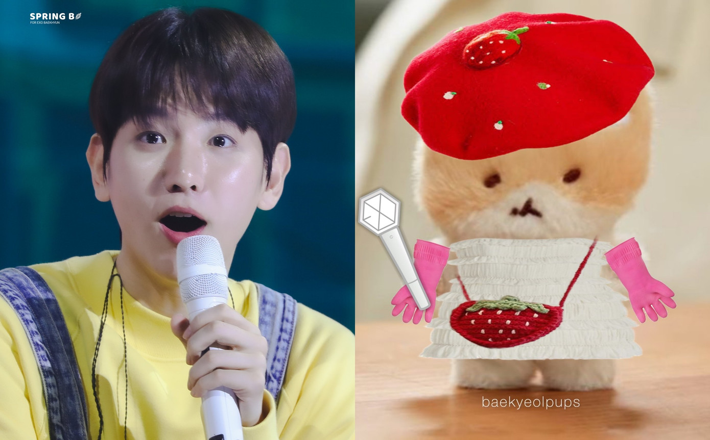 Dresscode siêu đáng yêu được chính chủ gửi tới fan trong chuyến lưu diễn vòng quanh châu Á (Nguồn: Lạc Sâu Bích) Dresscode siêu đáng yêu được chính chủ gửi tới fan trong chuyến lưu diễn vòng quanh châu Á (Nguồn: Lạc Sâu Bích)