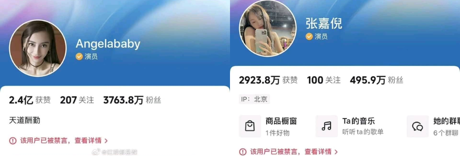 ...mà ngay cả TikTok của Angelababy, Trương Gia Nghê cũng đồng loạt bị &quot;cấm ngôn&quot;.