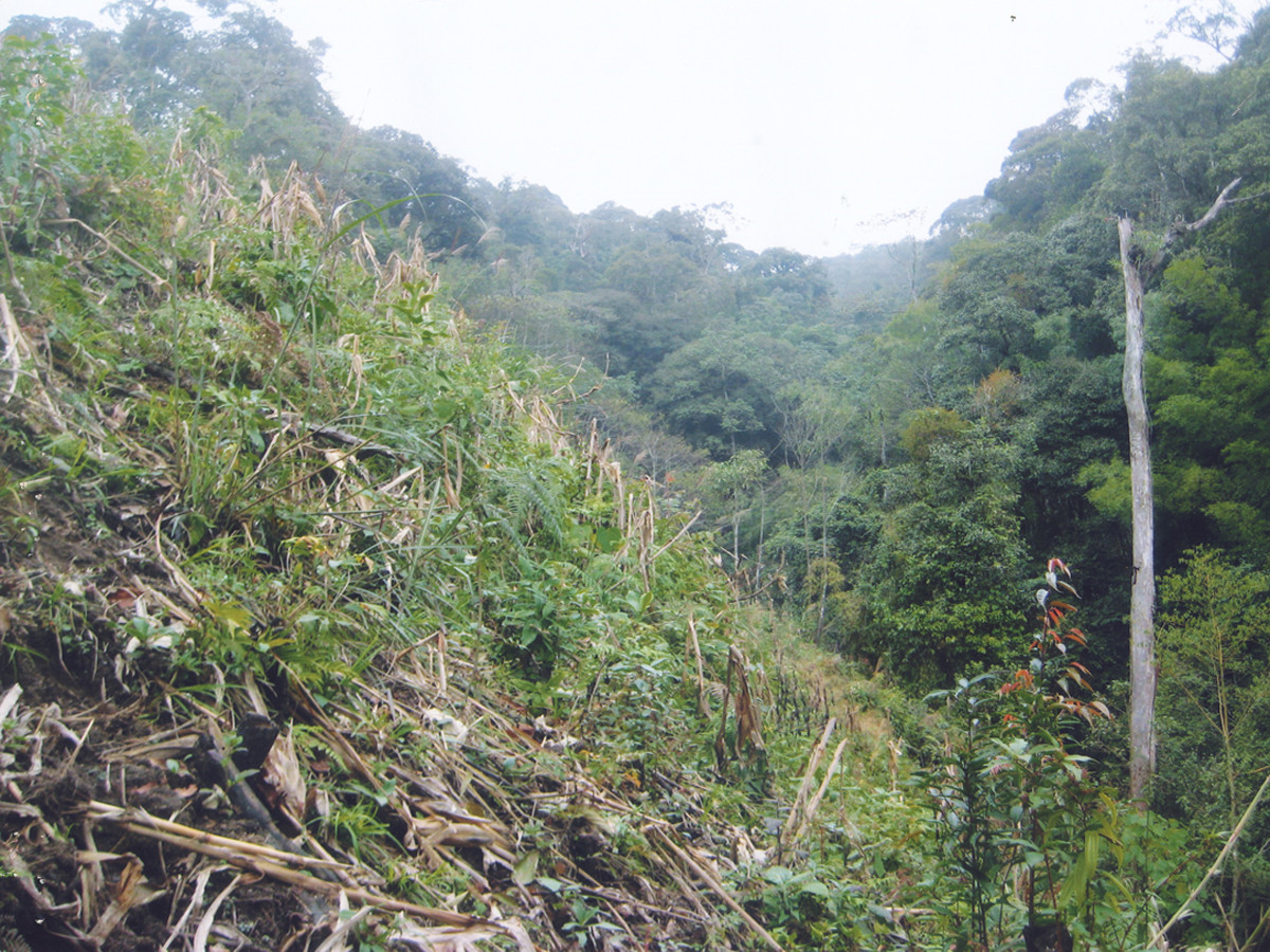 Khe núi Túng Quán Lìn, nơi chiếc máy bay đâm xuống.