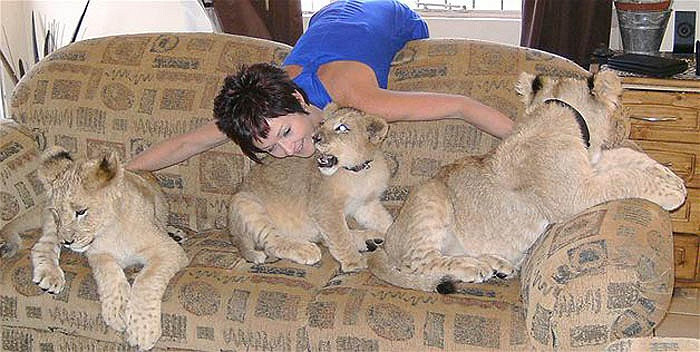 Annel tạo dáng với những chú sư tử con