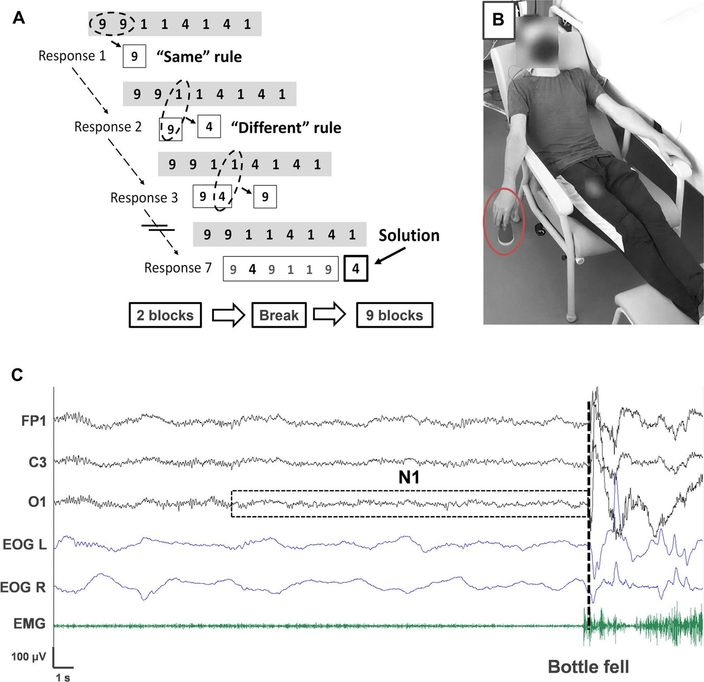 Thiết kế thí nghiệm của các nhà khoa học Pháp. Thiết kế thí nghiệm của các nhà khoa học Pháp.