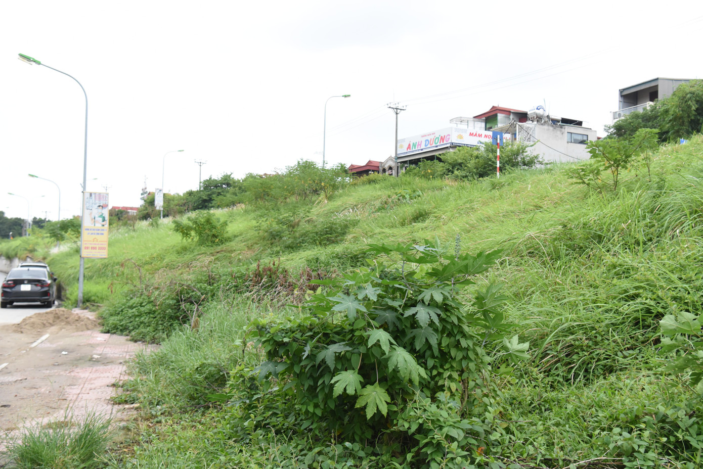 Thời gian gần đây, các tuyến đường đê trên địa bàn quận Long Biên bị cỏ dại mọc cao ảnh hưởng đến an toàn giao thông dọc tuyến đê.