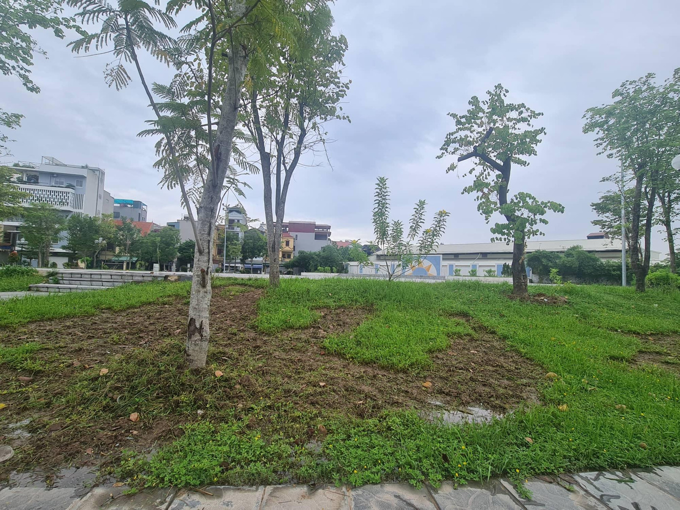 Được biết, Ban thường vụ Quận ủy Long Biên đã ban hành Chương trình số 03-CTr/QU ngày 15/10/2020: “Đầu tư, hoàn thiện hệ thống hạ tầng đô thị, trọng tâm giải quyết vấn đề thoát nước, đảm bảo cảnh quan, môi trường trên địa bàn quận Long Biên giai đoạn 2020-2025” với mục tiêu đảm bảo các vườn hoa, vỉa hè, lòng đường, cây xanh được quản lý, duy trì, đảm bảo mỹ quan đô thị nhưng việc triển khai chưa được được như kỳ vọng.