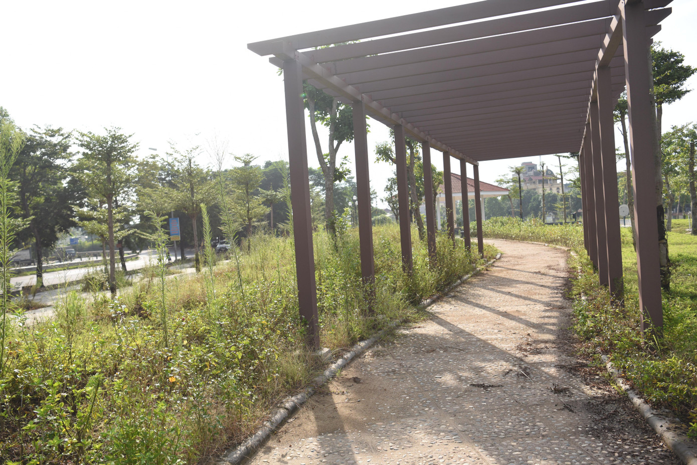 Không chỉ các mặt đê, tình trạng 'quên' chăm sóc, cắt tỉa cây còn diễn ra tại một số vườn hoa trên địa bàn