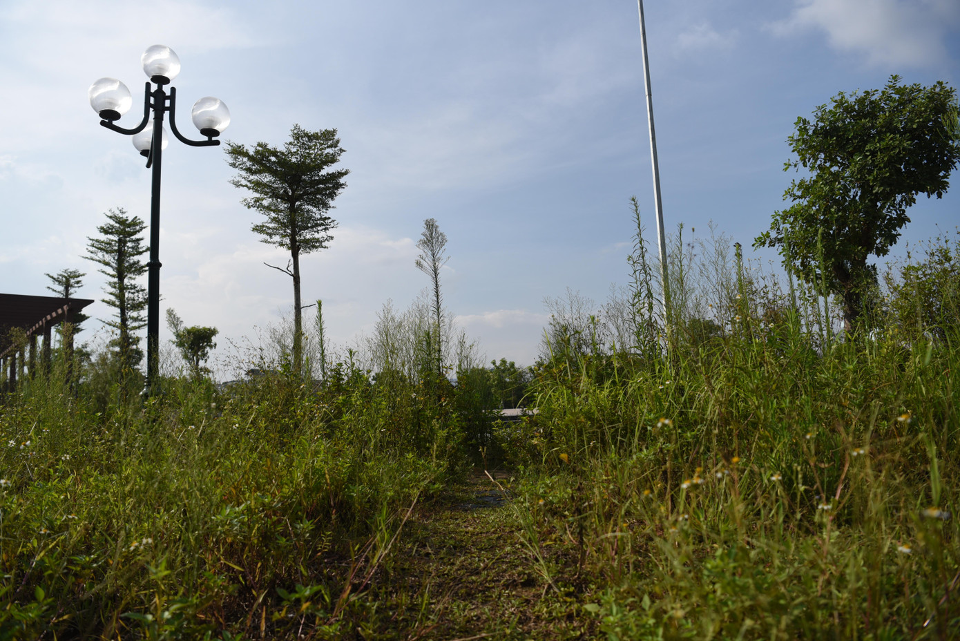 Theo tìm hiểu của PV Tiền Phong, việc duy trì vườn hoa, cây xanh trên địa bàn quận Long Biên theo phân cấp được giao cho Trung tâm phát triển quỹ đất quận Long Biên. Đầu năm 2022, đơn vị này đã mở hồ sơ mời thầu để lựa chọn nhà thầu thực hiện duy trì vườn hoa, cây xanh trên địa bàn.