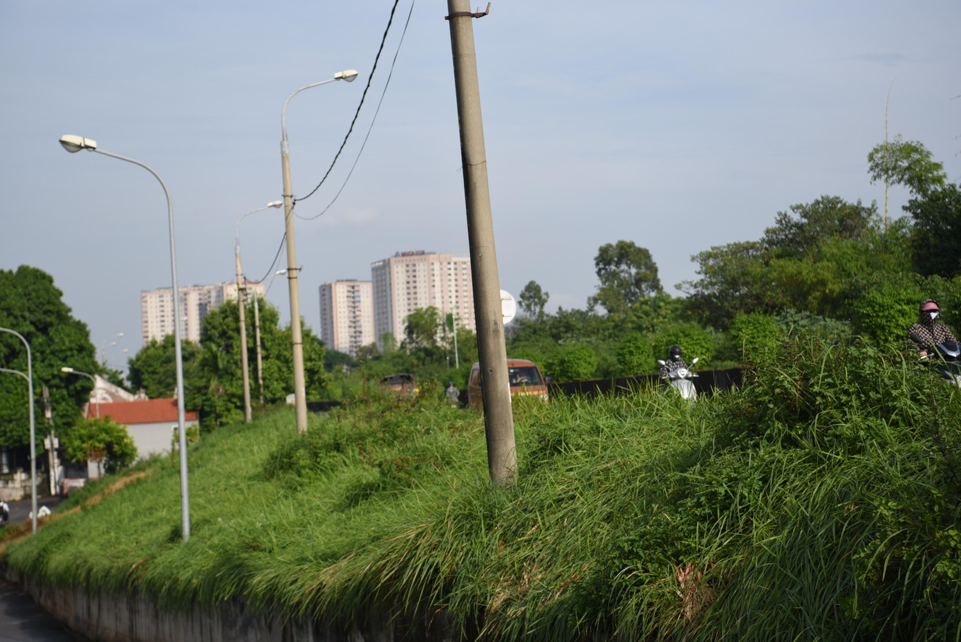 Theo thông tin từ quận Long Biên, cỏ dại mặt đê thuộc quản lý của thành phố mà cụ thể là Sở Nông nghiệp và Phát triển nông thôn Hà Nội. Quận đã đề nghị thành phố quan tâm xử lý cỏ dại để tránh ảnh hưởng đến mỹ quan đô thị và an toàn cho người dân khi tham gia giao thông