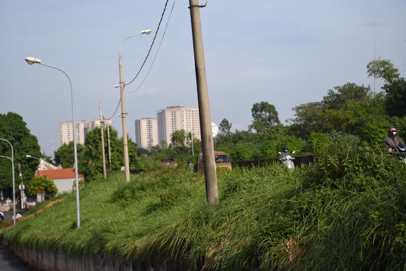 Theo thông tin từ quận Long Biên, cỏ dại mặt đê thuộc quản lý của thành phố mà cụ thể là Sở Nông nghiệp và Phát triển nông thôn Hà Nội. Quận đã đề nghị thành phố quan tâm xử lý cỏ dại để tránh ảnh hưởng đến mỹ quan đô thị và an toàn cho người dân khi tham gia giao thông