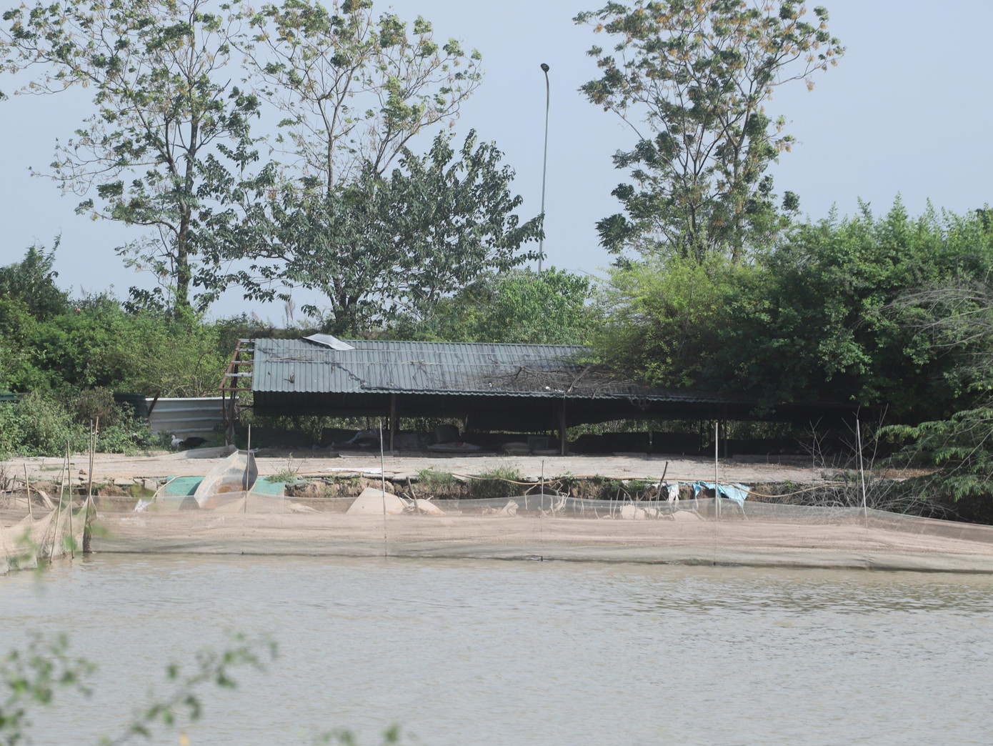 Khu vực chăn nuôi, thả cá tại dự án