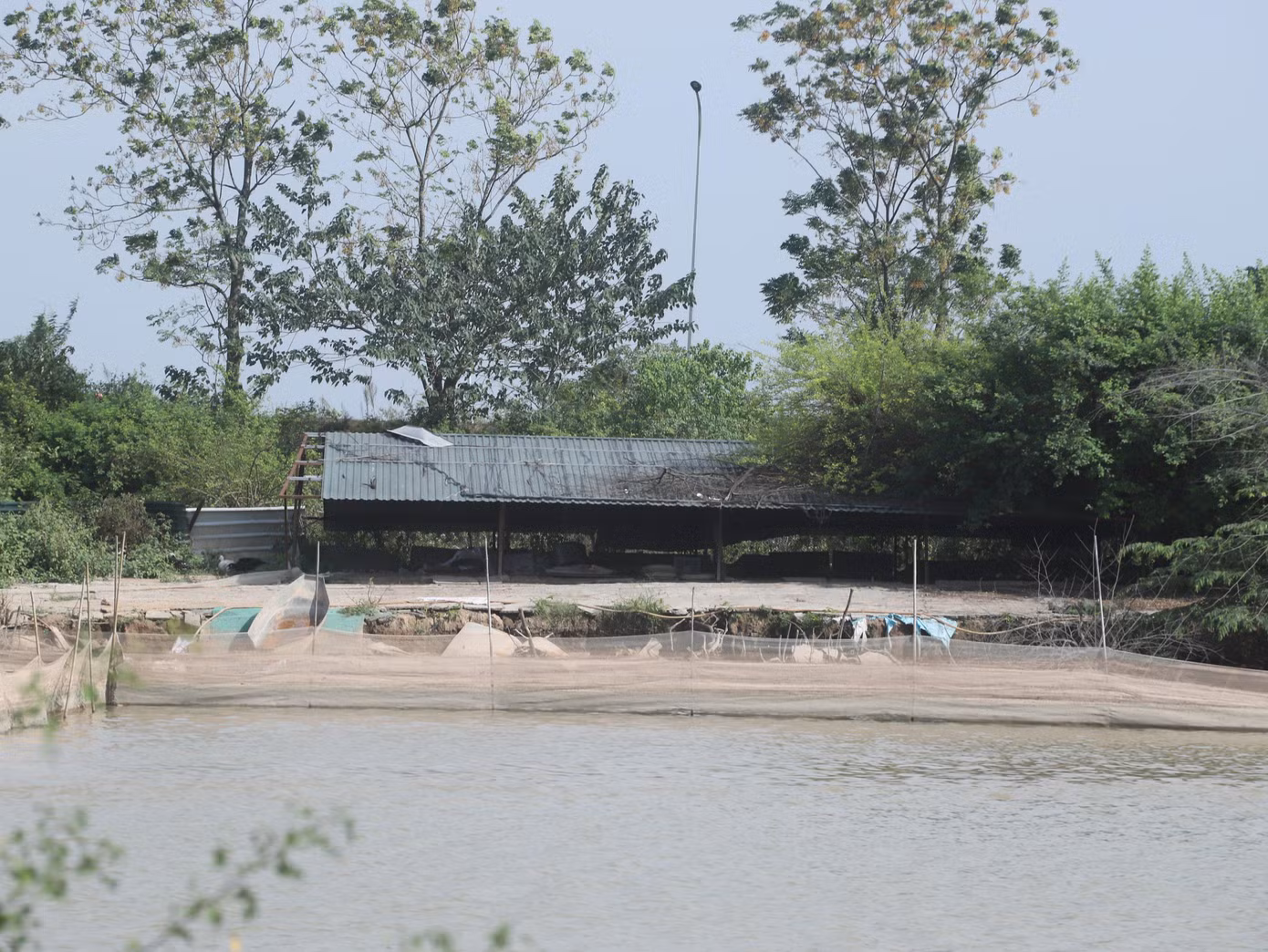 Khu vực chăn nuôi, thả cá tại dự án