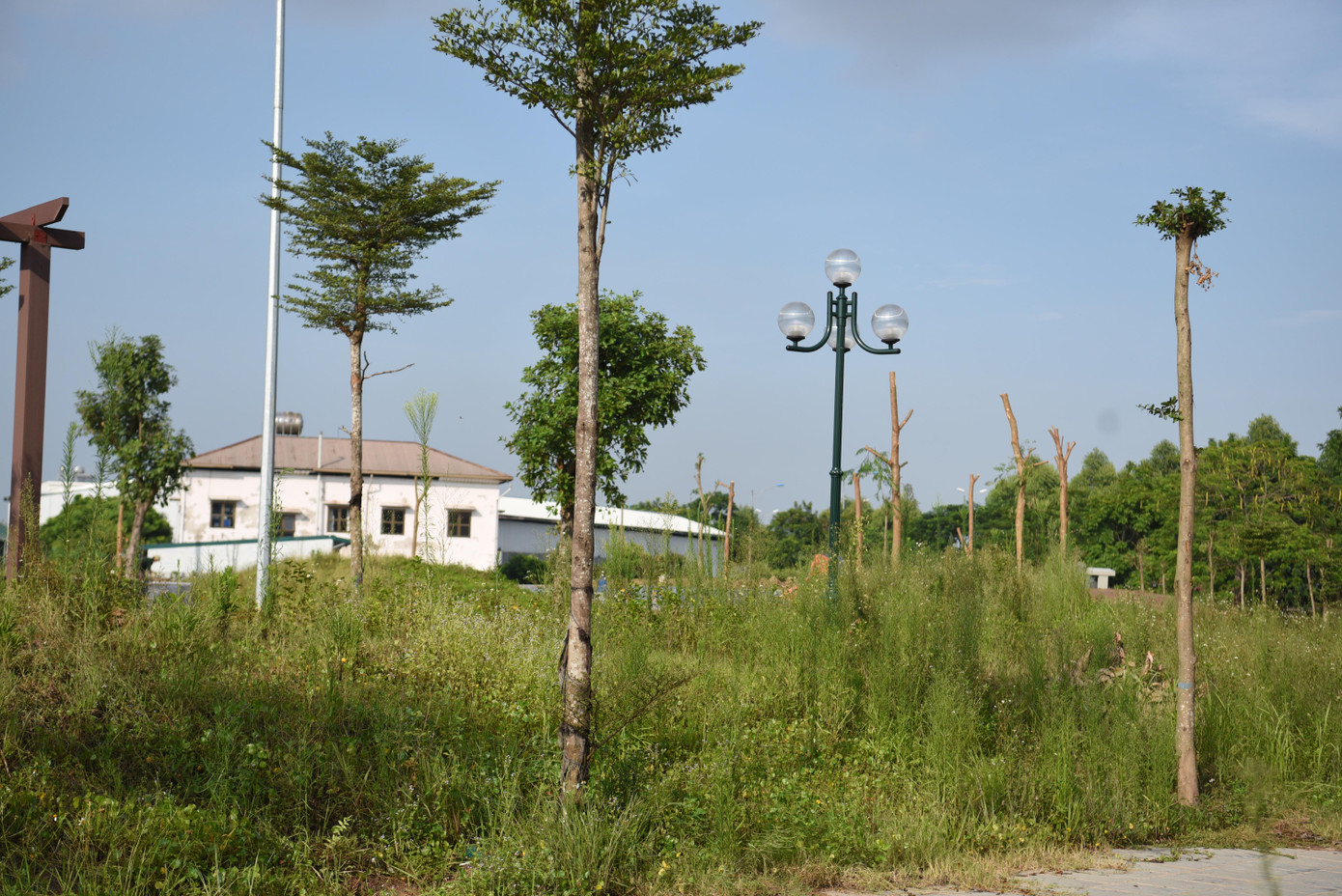 Vườn hoa Cự Khối (phường Cự Khối) cỏ mọc không thấy đường đi, hiếm người dân nào dám qua lại vào buổi tối