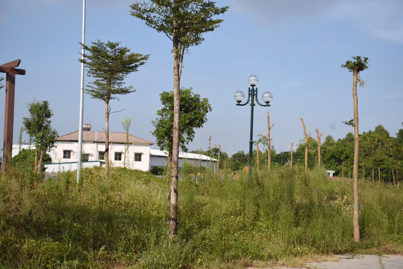 Vườn hoa Cự Khối (phường Cự Khối) cỏ mọc không thấy đường đi, hiếm người dân nào dám qua lại vào buổi tối