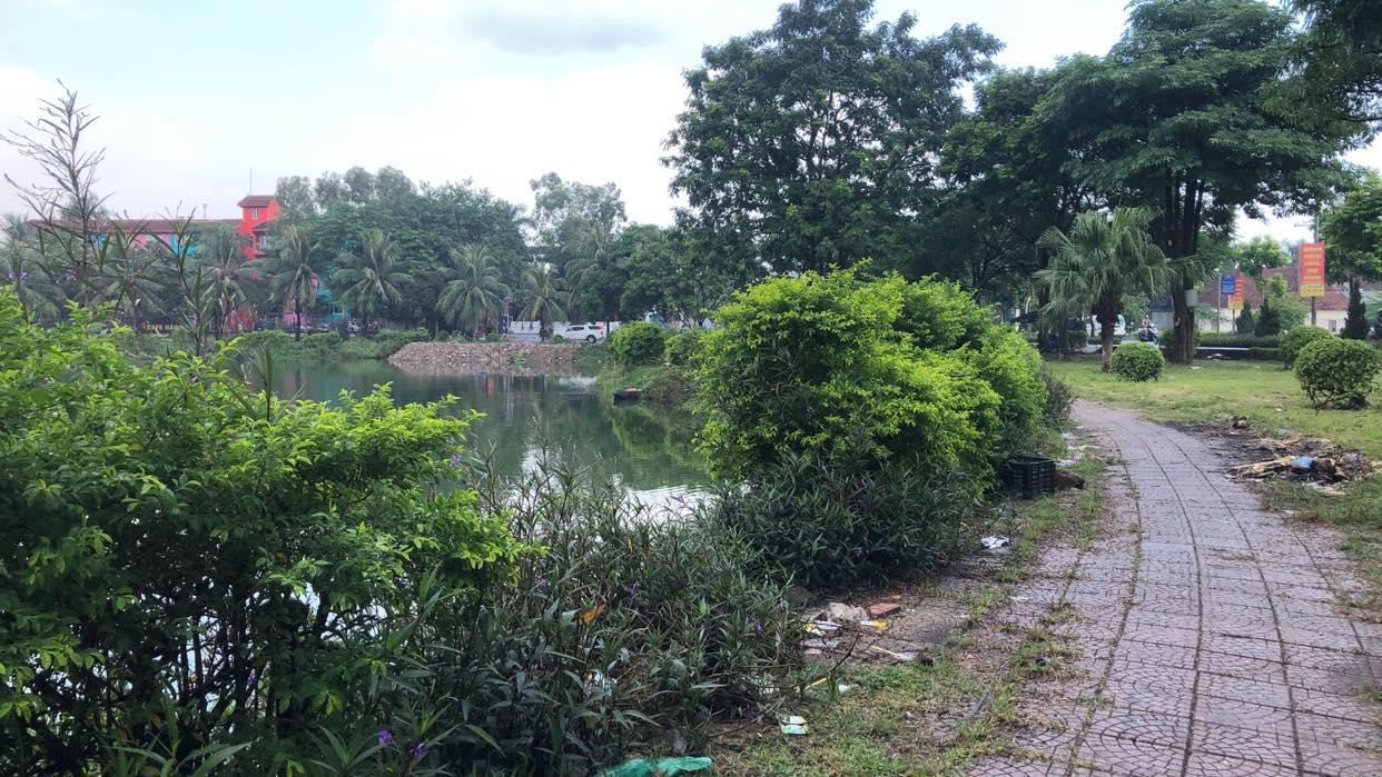 Theo quy định tại các gói thầu duy trì vườn hoa cây xanh trên địa bàn quận Long Biên thì các công việc cắt tỉa cây cỏ phải được thực hiện đúng định kỳ. Tuy nhiên trên thực tế, có hiện tượng nhà thầu không thực hiện đúng cam kết