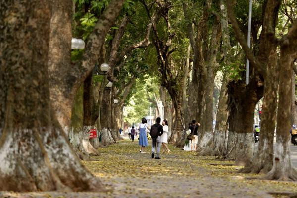 Phố Phan Đình Phùng là địa điểm yêu thích của du khách khi đến với Hà Nội mùa thu