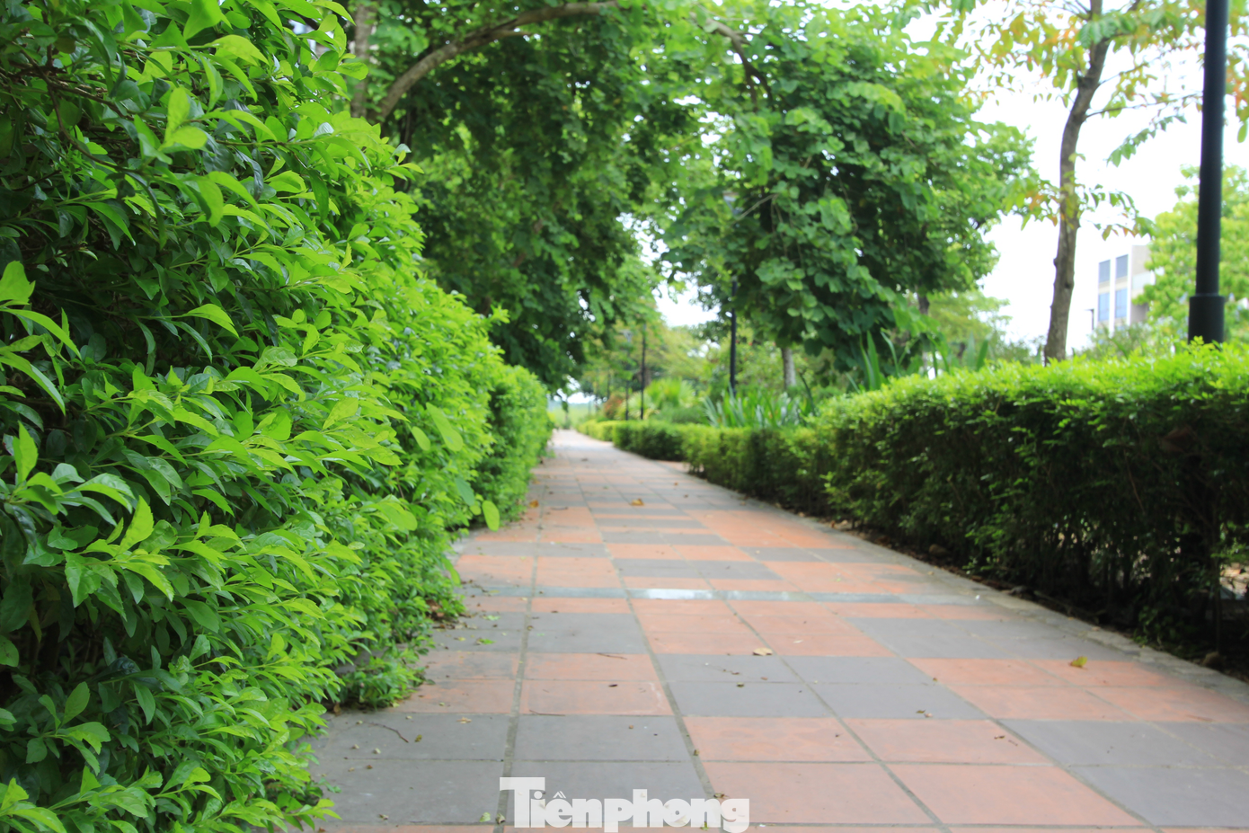 Không gian xanh vô cùng đẹp mắt trong Khu nhà ở xã hội dành cho công nhân KCN Yên Phong.