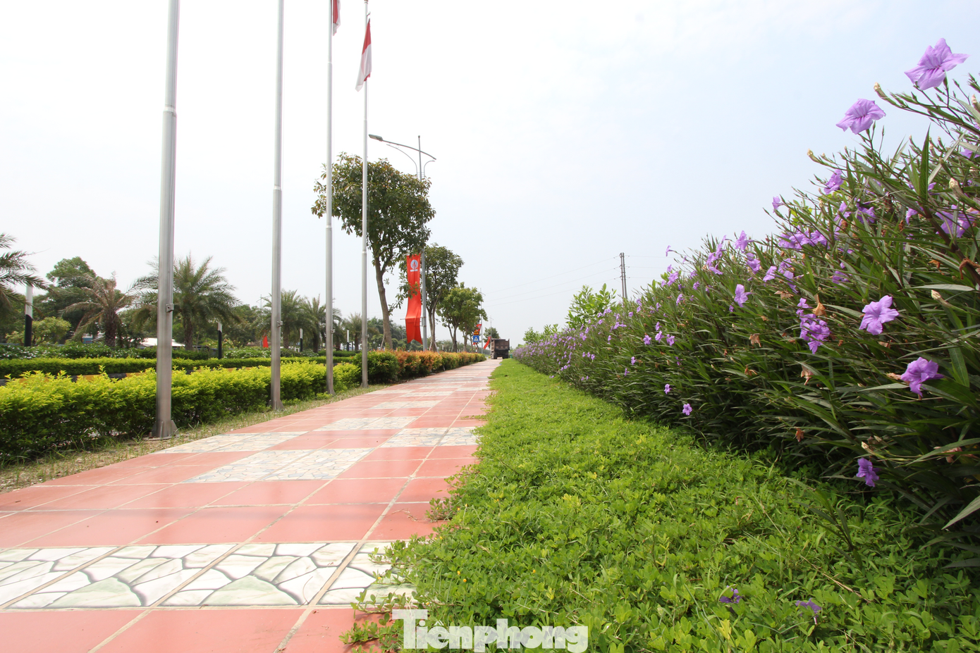 Màu đỏ, cam trầm ấm của gạch, gốm Viglacera hòa vào màu xanh của cây cối, xen lẫn sắc vàng, tím và đỏ của hoa khiến không gian của KCN trở nên sáng bừng, tươi mát.