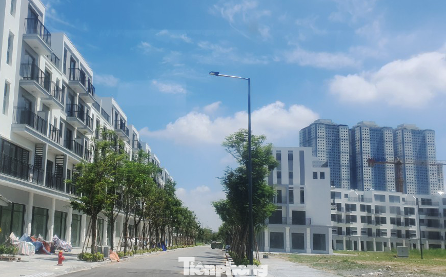 Chuyên gia nhận định, việc giá cả tăng cao không gây ảnh hưởng lớn tới quyết định thuê nhà của khách hàng.